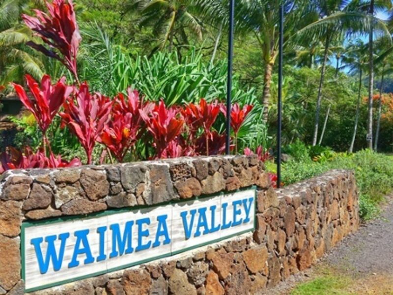Waimea Valley