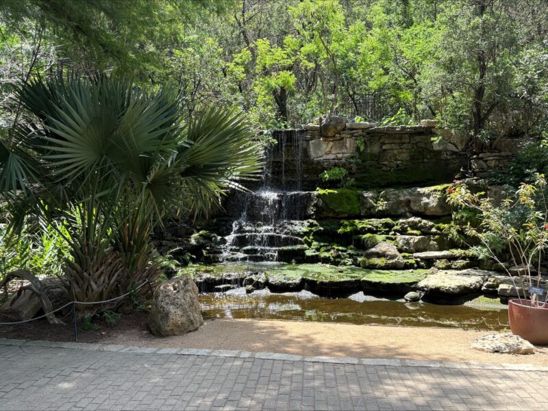 Zilker Botanical Garden