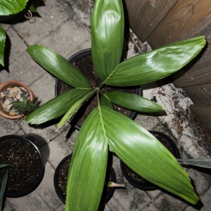 Would Love to Know What This Is