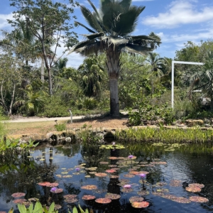 Naples botanical garde