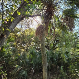 LaBelle, FL