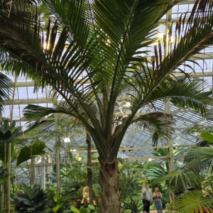 GPC palm house