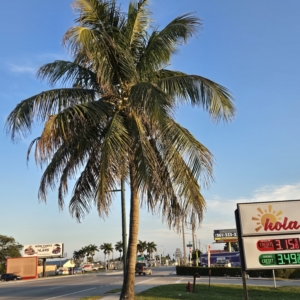 Clewiston, FL