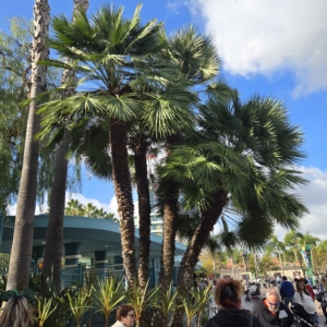Disneyland California Adventure