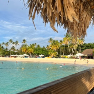Cocos Nucifera