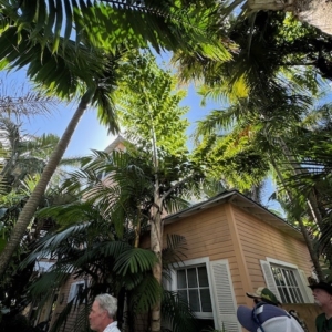 FREY GARDEN LAKE WORTH FLORIDA