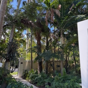 ANN NORTON HOUSE/MUSEUM -WEST PALM BEACH FLORIDA