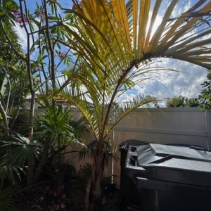 WEST SIDE HOUSE