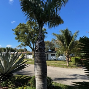 FRONT YARD