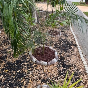 FRONT YARD