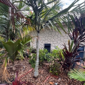 FRONT YARD