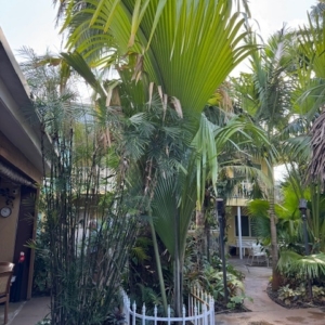 FREY HOUSE LAKE WORTH FLORIDA
