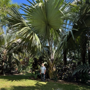MIKE HARRIS GARDEN IN COOPER CITY FLORIDA