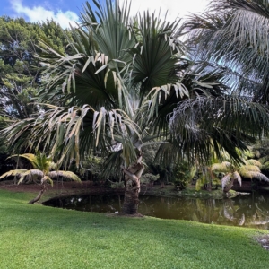 MIKE HARRIS GARDEN IN COOPER CITY FLORIDA