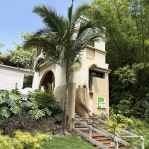 Puerto Rico botanical garden